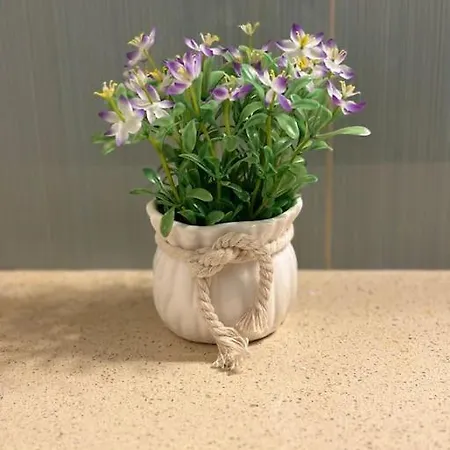 3 Decomandat Apartment *