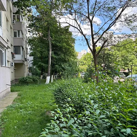 3 Decomandat Bucharest