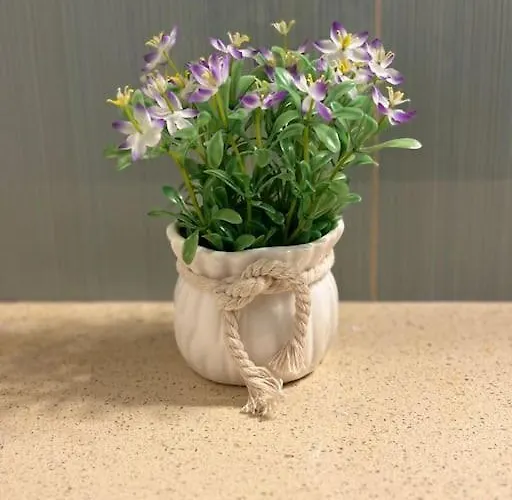 3 Decomandat Apartament *