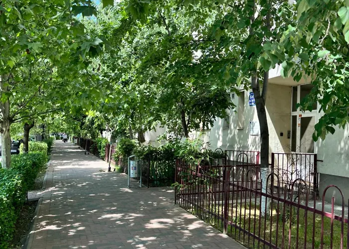 3 Decomandat Apartament